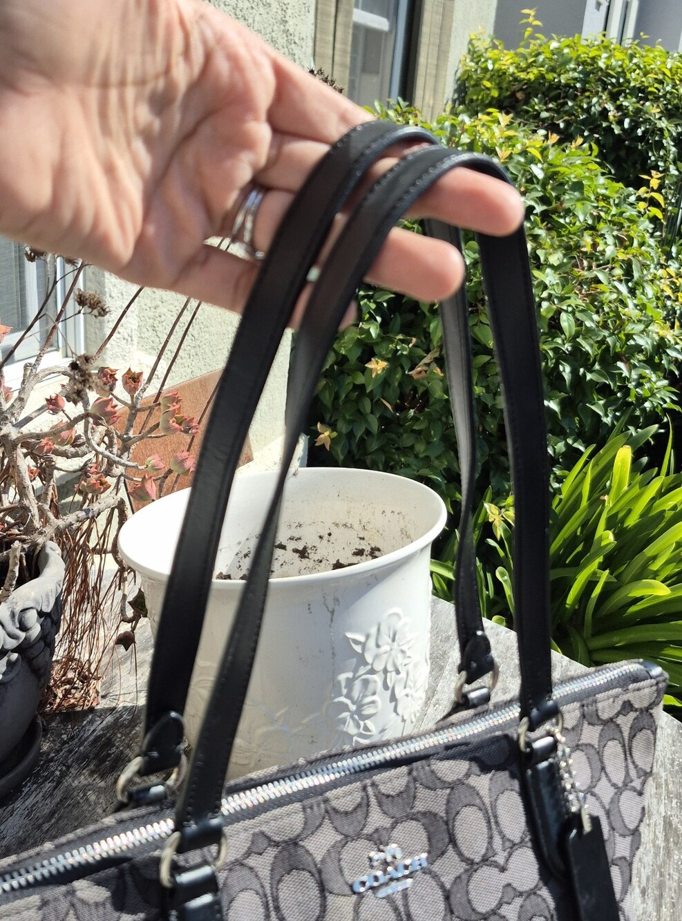 Coach Bag - Picture 3 of 7